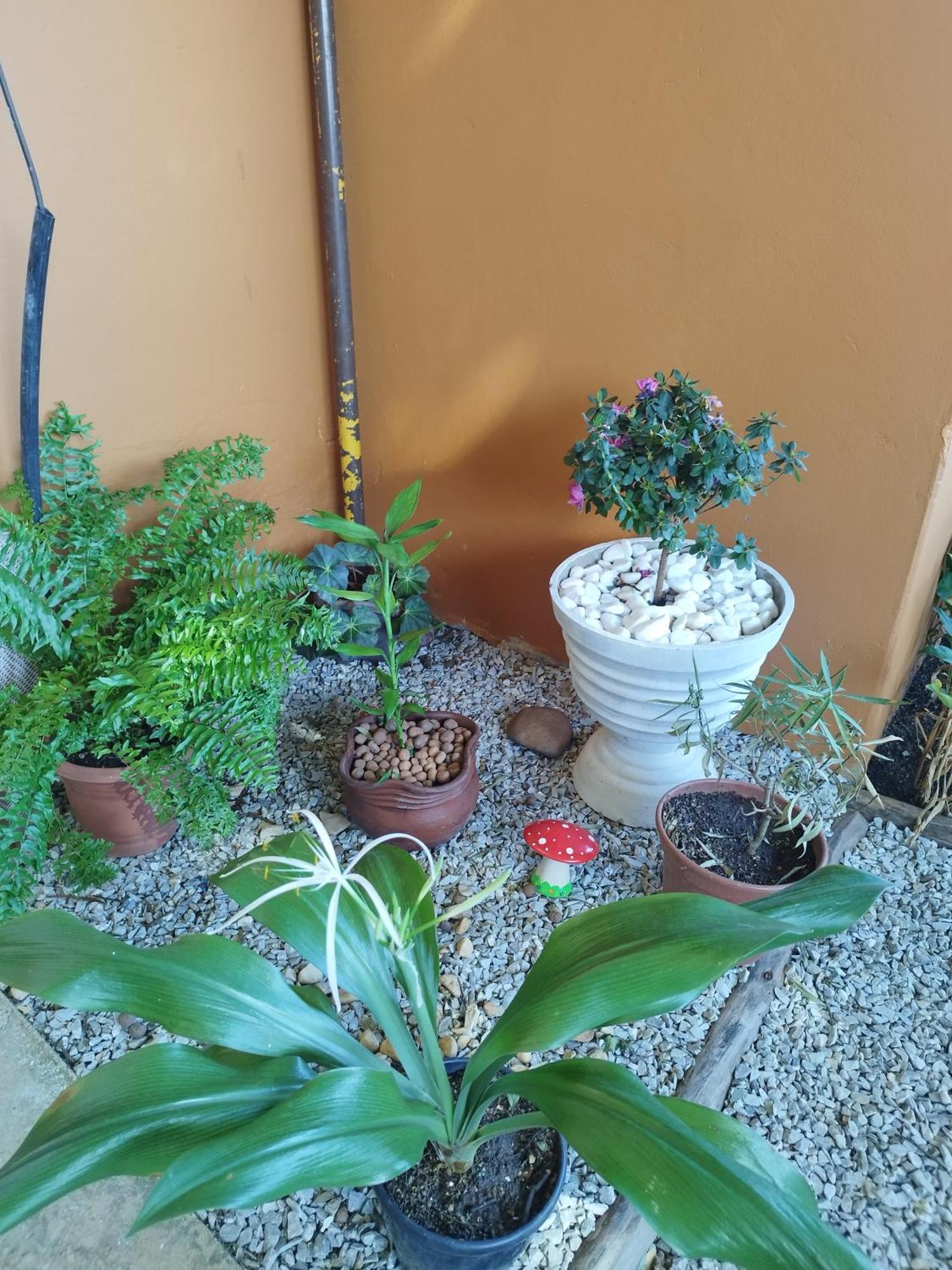Pousada Cama & Cafe Hotel Paracatu Luaran gambar